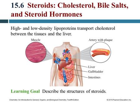 Chemistry: An Introduction to General, Organic, and Biological Chemistry, Twelfth Edition© 2015 Pearson Education, Inc. 15.6 Steroids: Cholesterol, Bile.