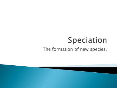 The formation of new species.. In evolutionary terms a species is a group of populations whose members have the potential to interbreed in nature and.