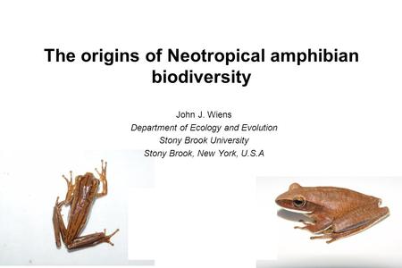 The origins of Neotropical amphibian biodiversity John J. Wiens Department of Ecology and Evolution Stony Brook University Stony Brook, New York, U.S.A.