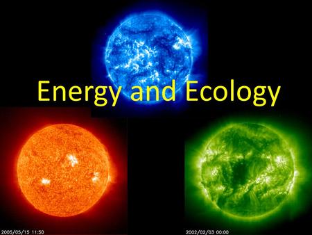 Energy and Ecology Ecosystem Components Producers – Basis of an ecosystem’s energy – Autotrophs: perform photosynthesis to make sugars – Chemotrophs: