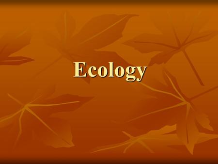 Ecology. Ecology Organisms maintain a dynamic equilibrium that sustains life. Organisms maintain a dynamic equilibrium that sustains life. Compare the.