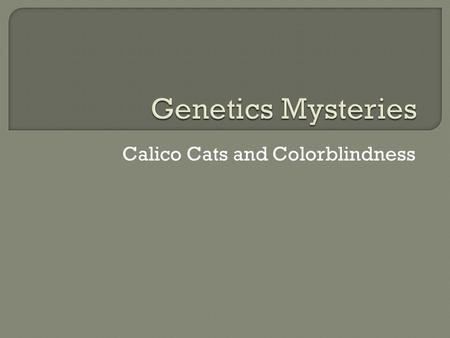 Calico Cats and Colorblindness. Male GenderGenes B = black / O = orange Phenotype (appearance) XBXBXBXB XOXOXOXO XBXOXBXO XBYXBY XOYXOY.