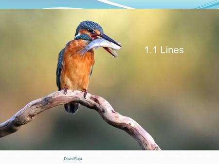 David Raju 1.1 Lines. At the end of this lesson you will be able to: Write equations for non-vertical lines. Write equations for horizontal lines. Write.