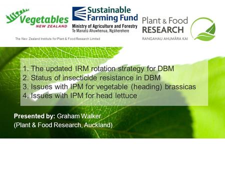 The New Zealand Institute for Plant & Food Research Limited 1. The updated IRM rotation strategy for DBM 2. Status of insecticide resistance in DBM 3.