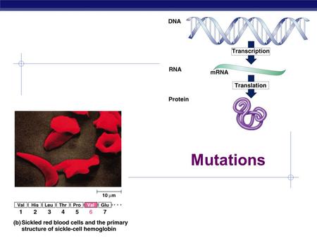 Mutations.