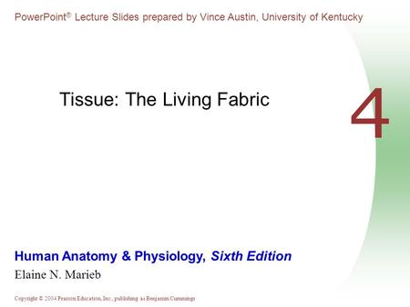 Copyright © 2004 Pearson Education, Inc., publishing as Benjamin Cummings Human Anatomy & Physiology, Sixth Edition Elaine N. Marieb PowerPoint ® Lecture.