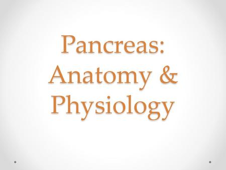 Pancreas: Anatomy & Physiology