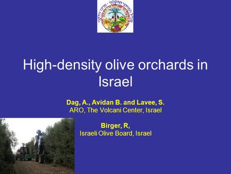 High-density olive orchards in Israel Dag, A., Avidan B. and Lavee, S. ARO, The Volcani Center, Israel Birger, R, Israeli Olive Board, Israel.