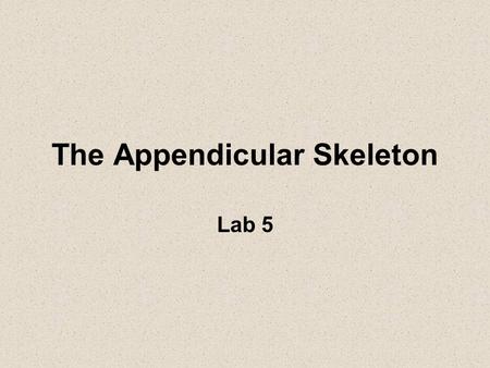 The Appendicular Skeleton