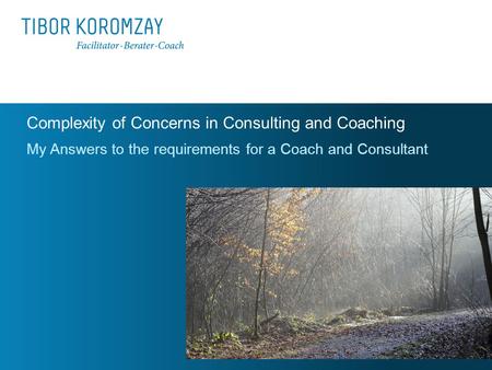 Complexity of Concerns in Consulting and Coaching My Answers to the requirements for a Coach and Consultant.