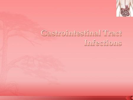 Gastrointestinal Tract Infections