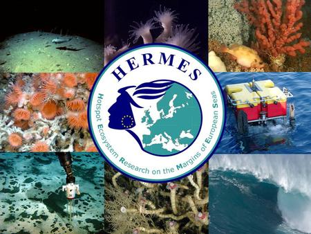 HERMES is an international, multidisciplinary research programme investigating Europe's deep marine ecosystems and their environment Funded by the European.