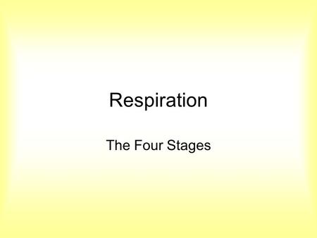 Respiration The Four Stages.