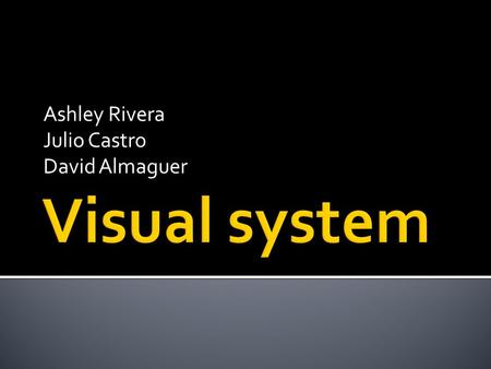 Ashley Rivera Julio Castro David Almaguer. EYE The human eye allows us to see with color and fine details and movements. The pupil regulates the amount.