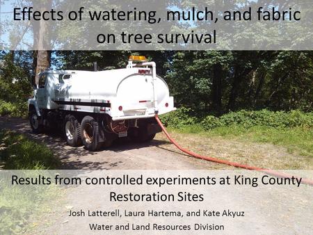 Effects of watering, mulch, and fabric on tree survival Results from controlled experiments at King County Restoration Sites Josh Latterell, Laura Hartema,