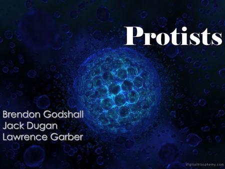  Unicellular or Multicellular  Eukaryotic  Some Look Plant, Fungus, and Animal- Like  No Certain Kind of Nuclei Bounding a Membrane.