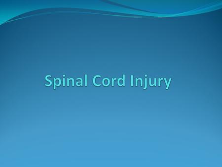 Spinal Cord Injury.