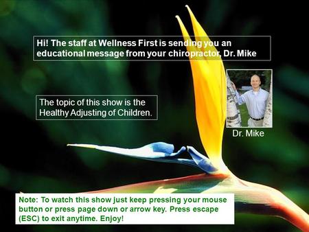 Hi! The staff at Wellness First is sending you an educational message from your chiropractor, Dr. Mike The topic of this show is the Healthy Adjusting.