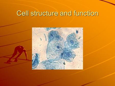 Cell structure and function. Prokaryotic cells lack nucleus and are the kind of cells that bacteria and archea have.