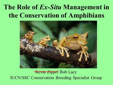 The Role of Ex-Situ Management in the Conservation of Amphibians Kevin Zippel Bob Lacy IUCN/SSC Conservation Breeding Specialist Group.