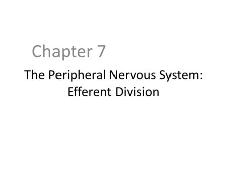 The Peripheral Nervous System: Efferent Division