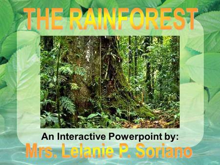 An Interactive Powerpoint by:. Rainforests have evolved over millions of years! Tropical rainforests are the Earth's oldest living ECOSYSTEMS! They are.