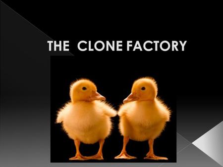 Animal Cloning: Is It a Scientific Miracle? Animal Cloning is the process by which an entire organism is reproduced from a single cell taken from the.