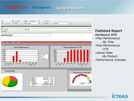 Sample Reports TURF View B U S I N E S S Intelligence Published Report Dashboard KPIs Plan Performance By Time Plan Performance YTD Actual Sales By Product.