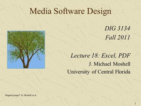 1 Media Software Design DIG 3134 Fall 2011 Lecture 18: Excel, PDF J. Michael Moshell University of Central Florida Original image* by Moshell et al.