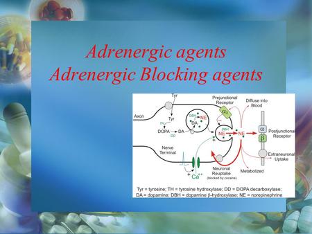 Adrenergic agents Adrenergic Blocking agents. Autonomic Nervous System.