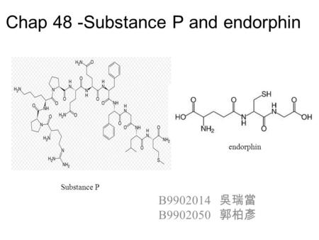 Chap 48 -Substance P and endorphin B9902014 吳瑞當 B9902050 郭柏彥 Substance P endorphin.