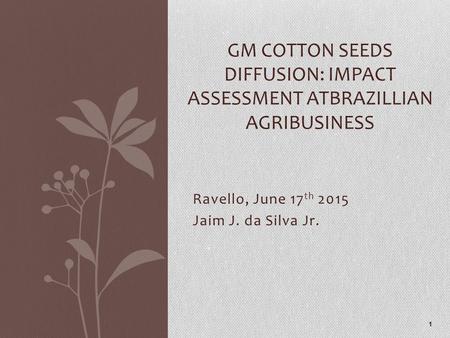 Ravello, June 17 th 2015 Jaim J. da Silva Jr. GM COTTON SEEDS DIFFUSION: IMPACT ASSESSMENT ATBRAZILLIAN AGRIBUSINESS 1.