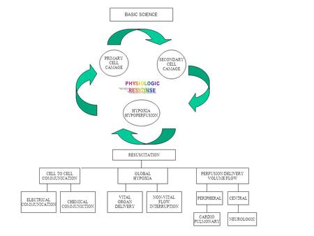 BASIC SCIENCE HYPOXIA HYPOPERFUSION SECONDARY CELL CAMAGE PRIMARY CELL CAMAGE RESUSCITATION PERFUSION/DELIVERY VOLUME/FLOW GLOBAL HYPOXIA PERIPHERALCENTRAL.