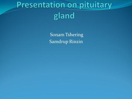 Presentation on pituitary gland