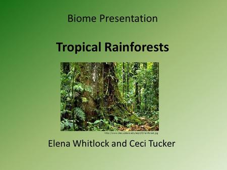 Biome Presentation Tropical Rainforests