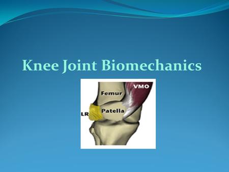 Knee Joint Biomechanics