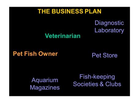 THE BUSINESS PLAN Veterinarian Pet Store Pet Fish Owner Aquarium Magazines Fish-keeping Societies & Clubs Diagnostic Laboratory.