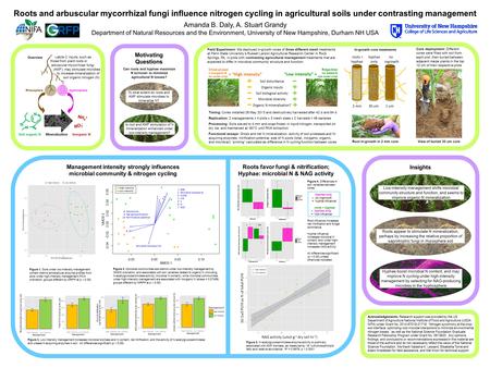 Roots and arbuscular mycorrhizal fungi influence nitrogen cycling in agricultural soils under contrasting management Amanda B. Daly, A. Stuart Grandy Department.