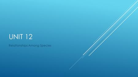UNIT 12 Relationships Among Species. The connections between organisms in an ecosystem can be described through various relationships within a food web.