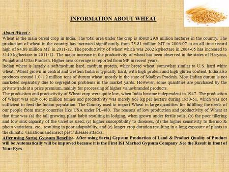 INFORMATION ABOUT WHEAT