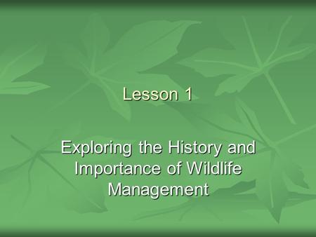 Exploring the History and Importance of Wildlife Management