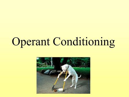 Operant Conditioning.