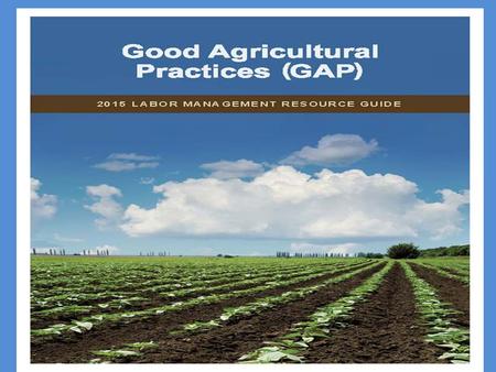 Potential MSPA Violations Checklist Fact Sheet #49-The Migrant and Seasonal Agricultural Worker Protection Act (MSPA)