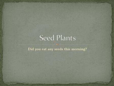 Did you eat any seeds this morning?. Plants produce seeds Also have gametophyte and sporophyte stage, but both occur in one plant Pollen can be transported.