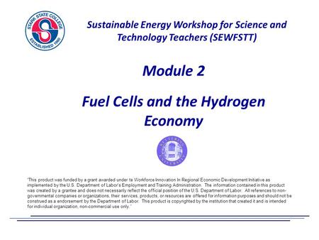 Fuel Cells and the Hydrogen Economy