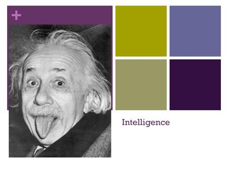 + Intelligence. + Essential Questions What is intelligence? What makes a person “smart”? What is the purpose of intelligence tests? How predictive are.