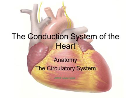 The Conduction System of the Heart