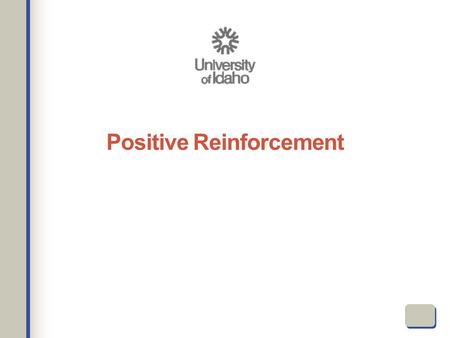 Positive Reinforcement