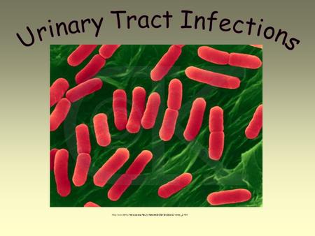 Urinary Tract Infections