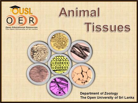 Department of Zoology The Open University of Sri Lanka 1.